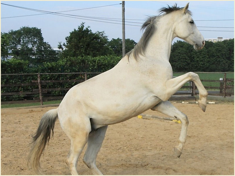 Leichtigkeit erfahren