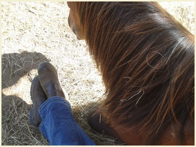 Die Führung übernehmen